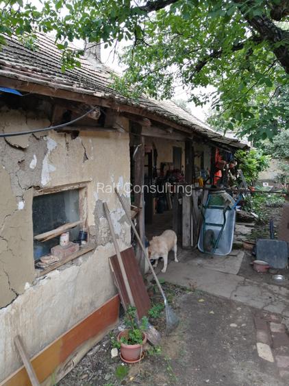 De vanzare  teren intravilan în vatra satului, cu casa veche demolabila, 900 mp - 5