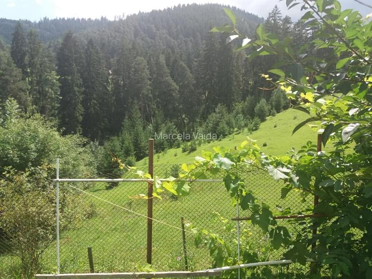 Teren intravilan in Sacele (Brasov), 2000 mp cu livada, foișor, apa, curent - 4