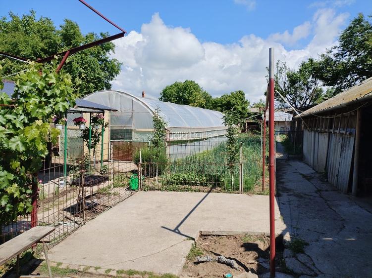 Oportunitate Business & Locuință: Spațiu Comercial 2020, Trifazic, Panouri 5kW ( - 3