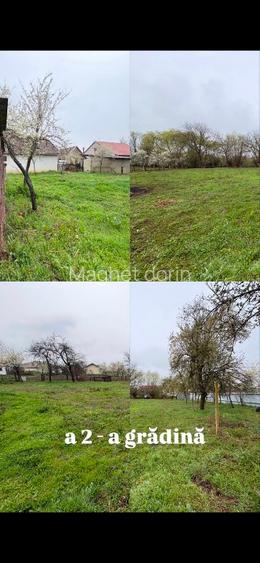 Casă + teren 2319 mp în centrul satului Sacoșu Mare, aproape de Lugoj  - 10