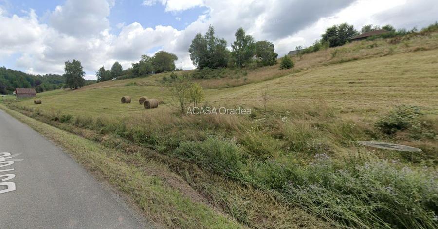 Teren intravilan Rosia, 12 000 mp, cu proiect aprobat. Comision 0. - 2