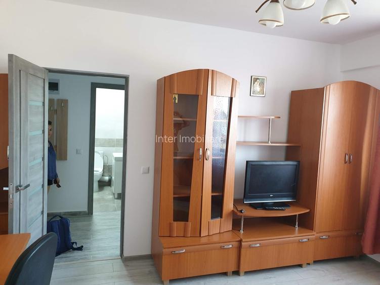 Apartament cu 1 camera decomandat Valea Adanca Cod oferta 162338 - 11
