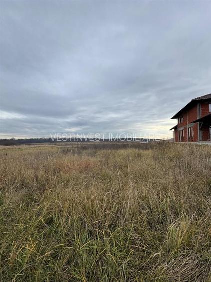 Teren intravilan Sanmartin 720 mp - 2