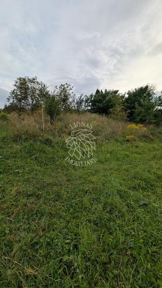 Teren intravilan 1180 mp cu utilitati-ideal casa-Zona Zavoaie