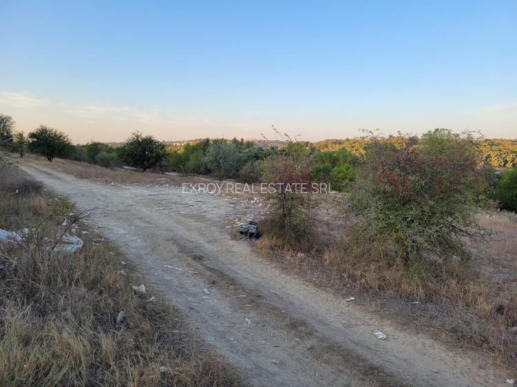 Teren Cernavodă 14.000 m/4 euro m - 5