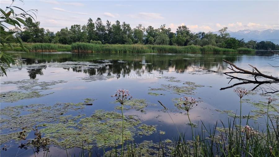 Oferta teren 5820mp optim casa  de vacanta -zona lacuri private Colun - 25