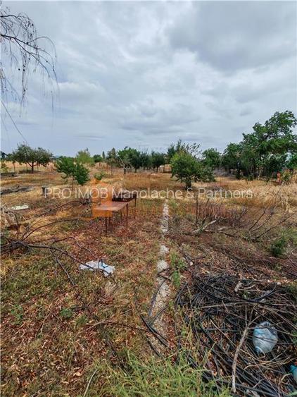 Casa P+M cu teren 2098 mp in Potoceni Buzau - 16