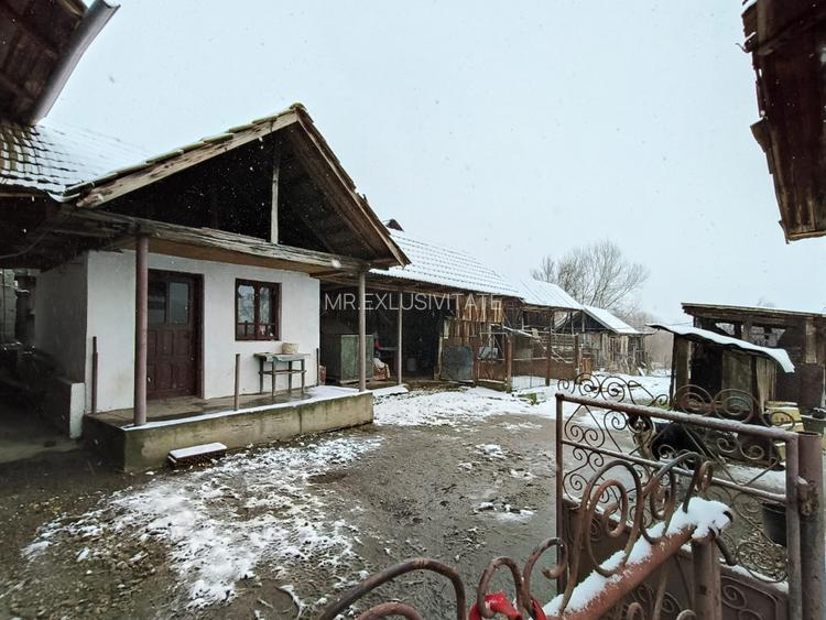 Proprietate rară – 2 case + livadă, vie și teren generos, la 20 km de Târgu Jiu - 9