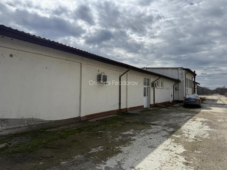 🔥 De vânzare teren - oportunitate rară de investiție – deschidere la Dunăre! 🔥 - 5