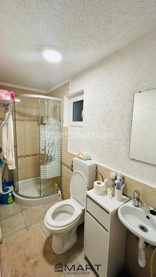 Casa individuala cu gradina si curte sat Talmacel - 11