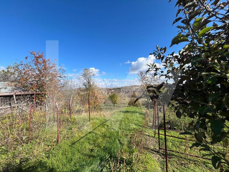 Casa cu poveste si potential – locul perfect pentru un nou inceput in Seica Mare - 24