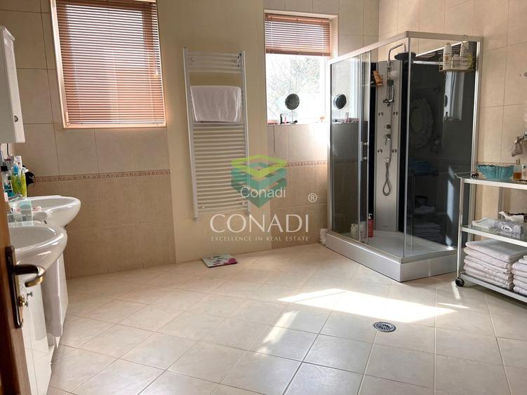 Baneasa- Iancu NIcolae, vila cu 6 camere de vanzare, 400 mp utili - 10