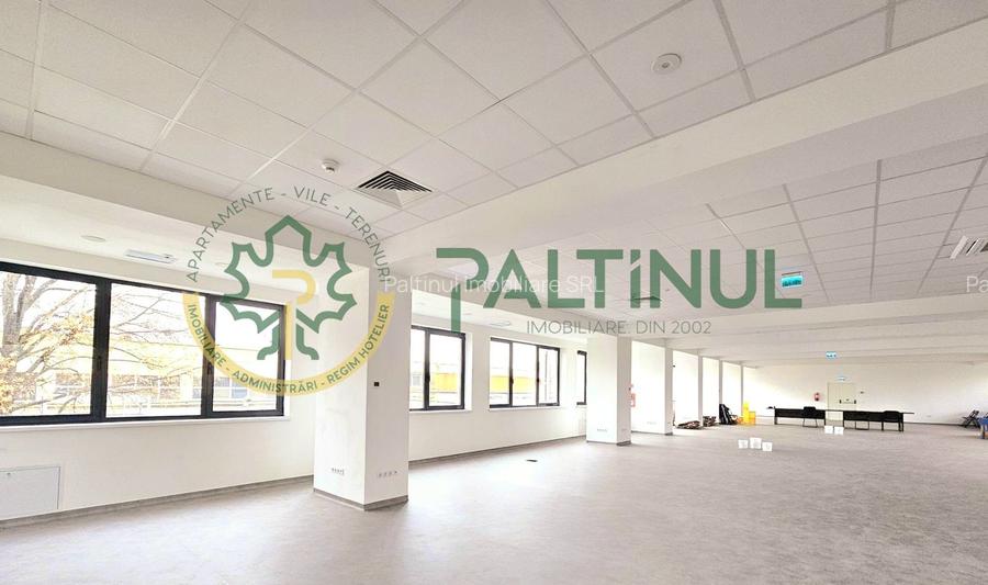 Spațiu de închiriat Turnișor, Sibiu – 427 mp, acces individual - 2