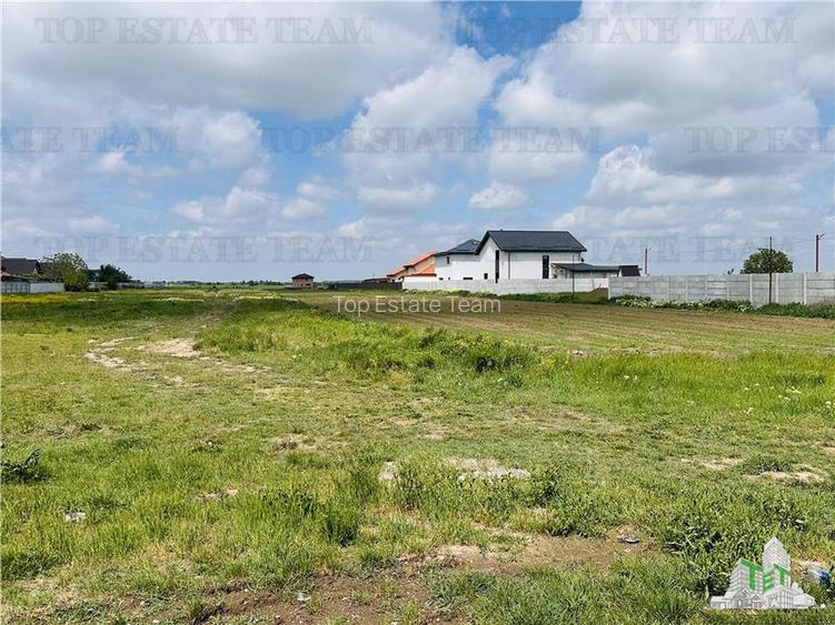 Teren intravilan 1.7 ha Dragomiresti Vale-Zurbaua, deschidere 34m la strada asfa - 11
