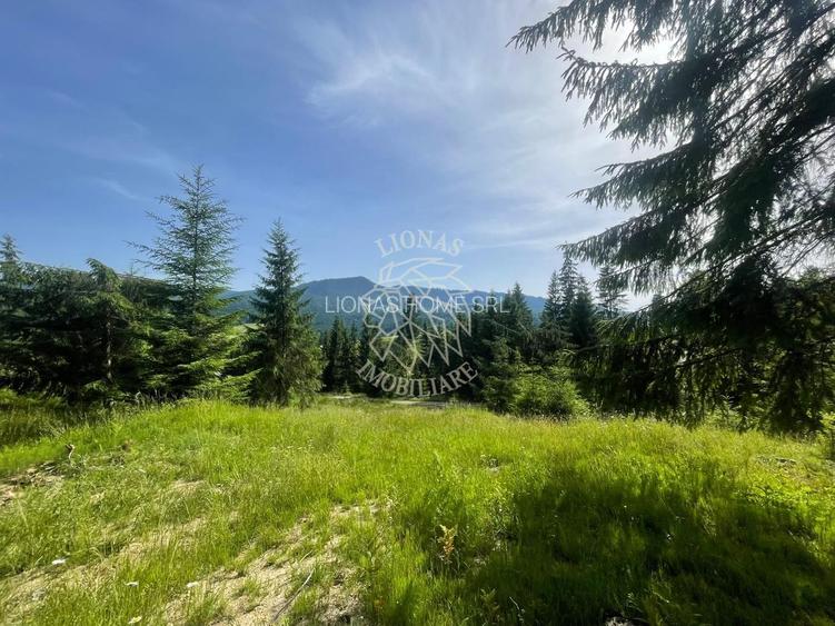 Teren intravilan 1074 mp cu utilitati-ideal pensiune, cabane-Colibita - 2