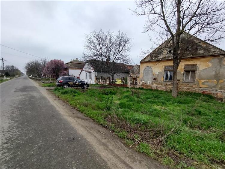 Iecea Mare - Timis, Casa cu Gradina, 1800mp Teren, Pret Negociabil - 30