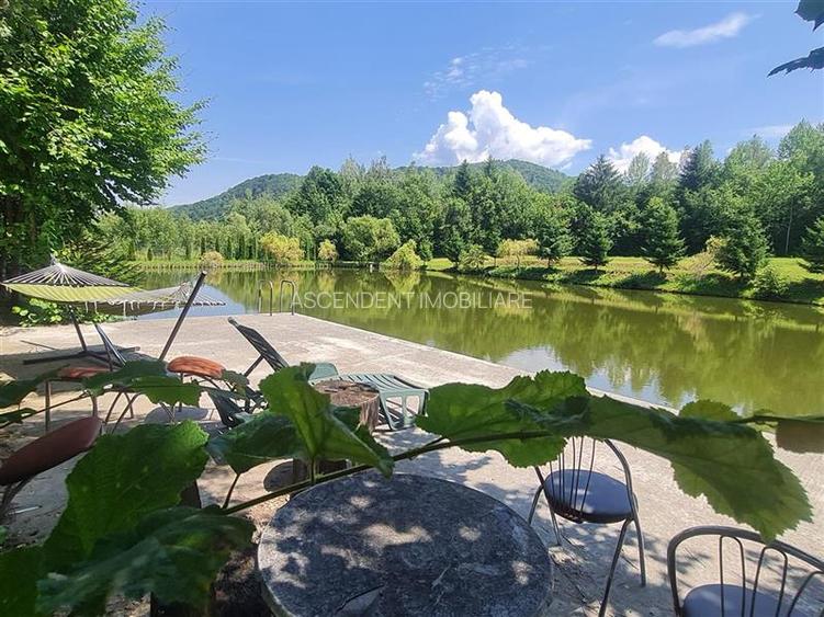 FILM! Oaza paradisiaca cu lac, vedere catre Bucegi, Glajerie/ Rasnov, pretabil C - 11