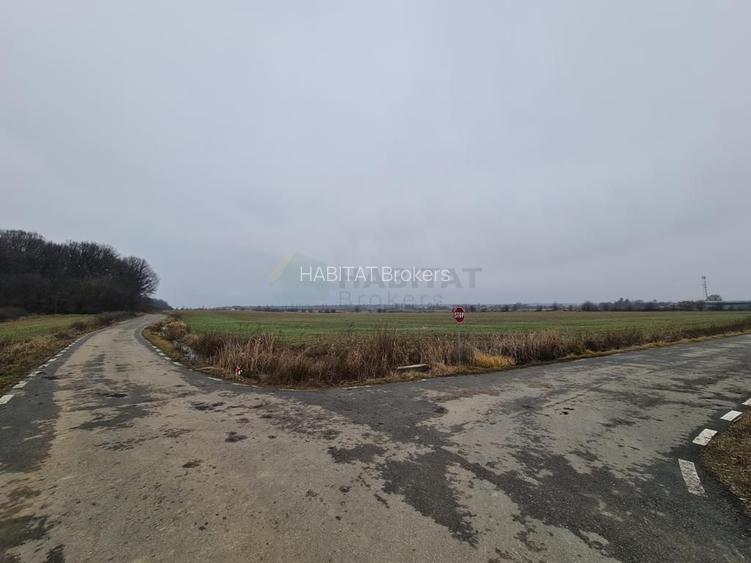 Teren | Poiana Ciolpani | Iris Orangerie - 8