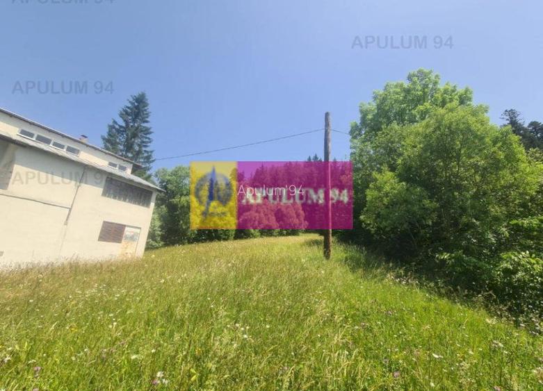 Teren de vânzare în Bușteni - Zona Zamora - 9