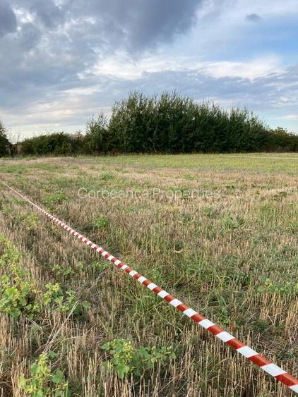 Teren cu vedere la Padure, rate 2-3 ani, 621mp, in zona Paradisul Verde - 12