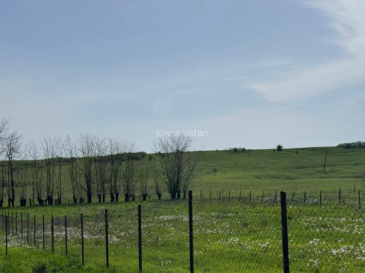 Propietar, vand teren 1508 mp Ianova  - 4