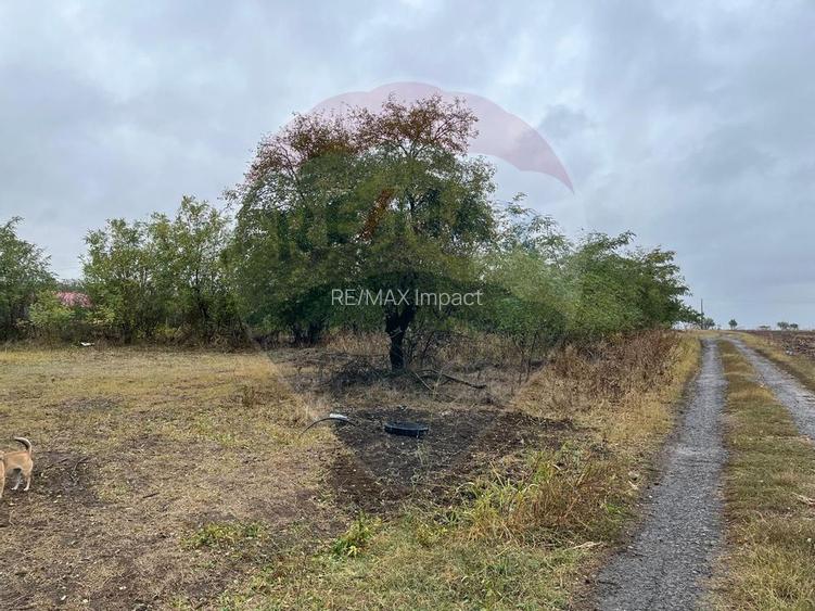 Teren intravilan 1700 mp, de vanzare, A2, Sarulesti, Polcesti - 8