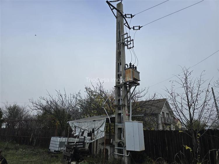 Csa la Gri si Hala - 4