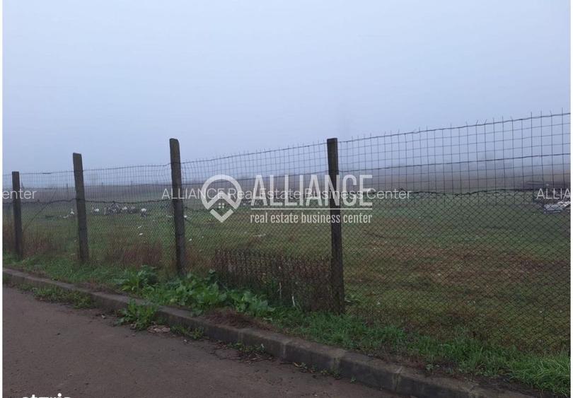 Teren de Vânzare Cumpana - 2