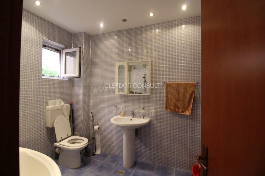 Iancu Nicolae- Vila individuala - 17