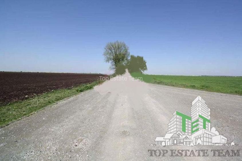 Teren  de vazare pt investitie, Sinesti, 4 eur / mp, 21000mp , Ialomita - 4