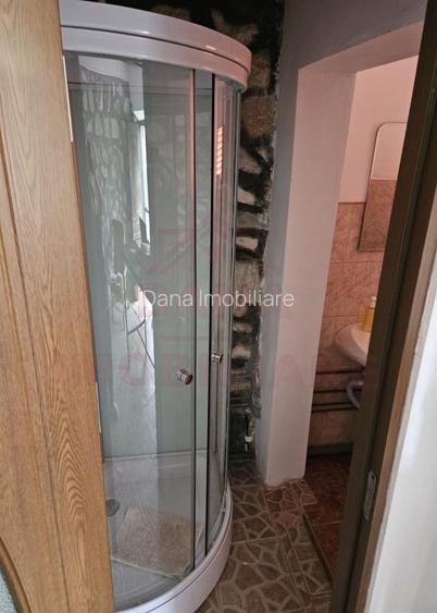 CASĂ DE VÂNZARE ÎN POUANA MĂRULUI,JUD. CARAȘ-SEVERIN - 13