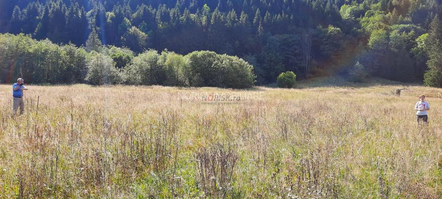 Teren Intravilan | Schitu Tarcău | 2089MP | Izvor | Platou - 15