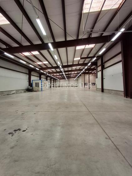 Hala productie /depozitare spatii cazare Branesti/Makita - 4