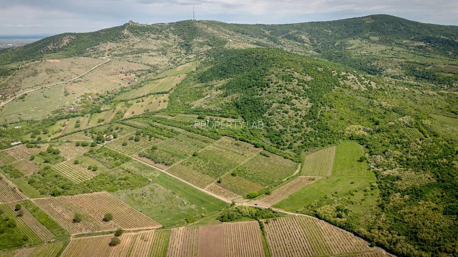 Teren extravilan - 3654 mp Dealul Șiriei - 3