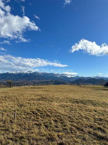 TEREN INTRAVILAN SIRNEA/ 4000 MP/ - 6