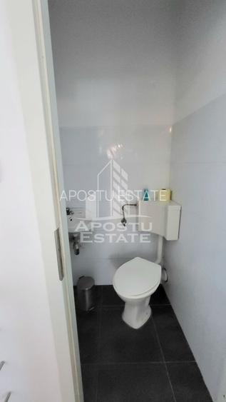 Casa individuala,independenta energetic, 5 camere,teren3783,Peciu Nou - 17