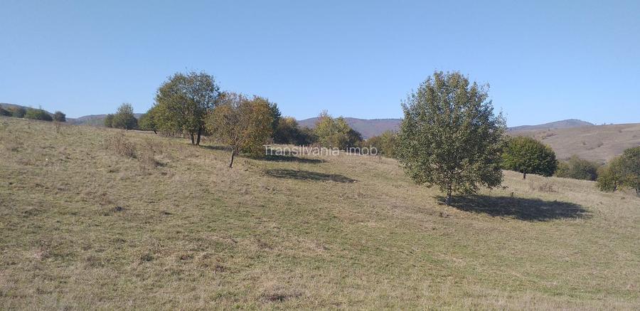 Teren Apata 0.8 euro/mp pretabil investitie - 2