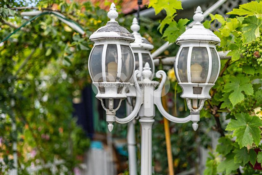 Casă spațioasă cu livadă în Buziaș - 6