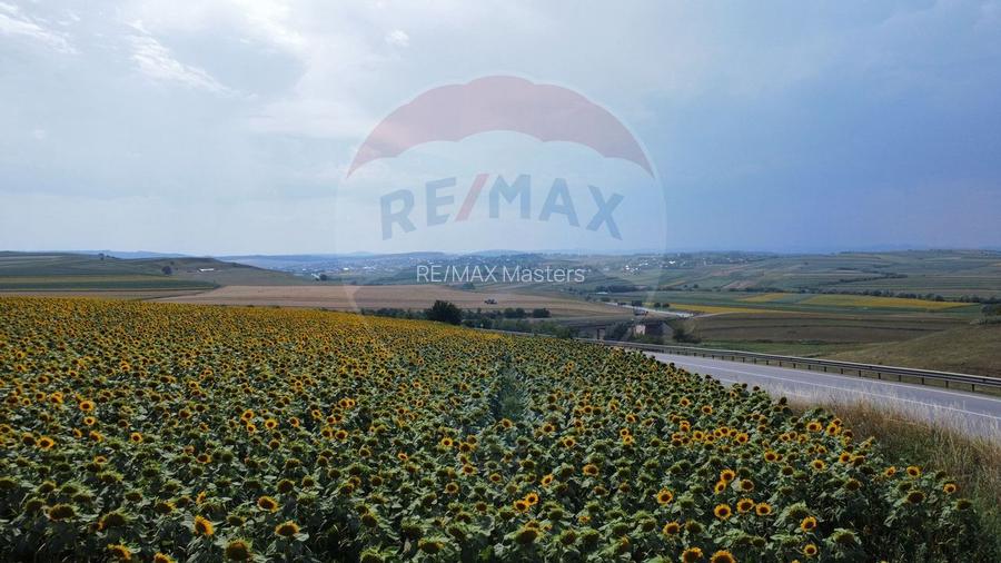 Teren 3,500mp Ilisesti / Strada Principala - 14