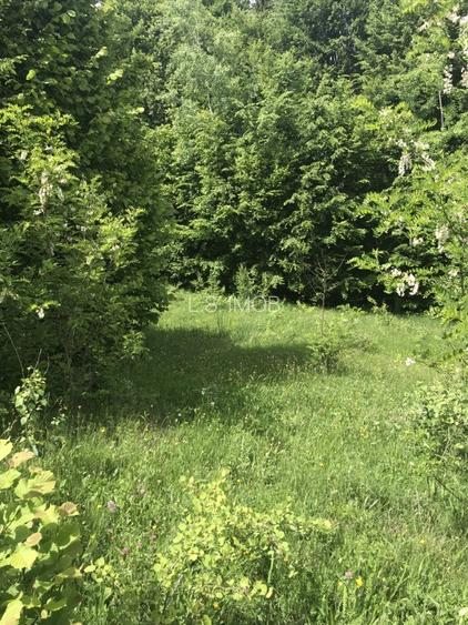 Vand teren in Albestii de Muscel faneata-pasune, partial impadurit - 8