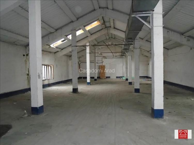 Hala de depozitare, Aradul Nou - 5