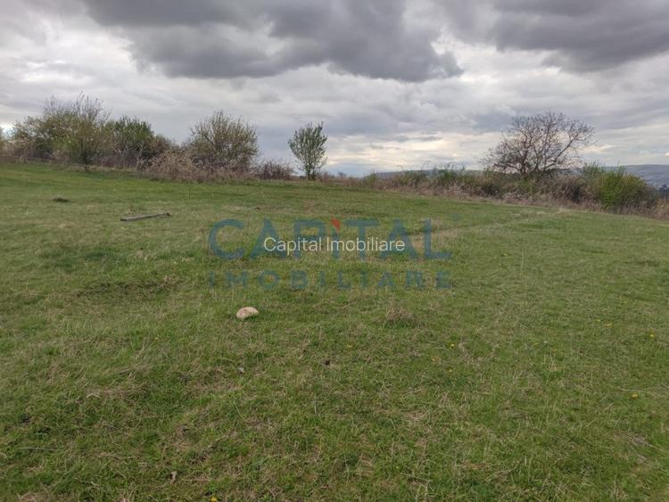 Comision 0! teren intravilan 5500mp, utilitati,  zona, strazii Veseliei Borhanci - 6