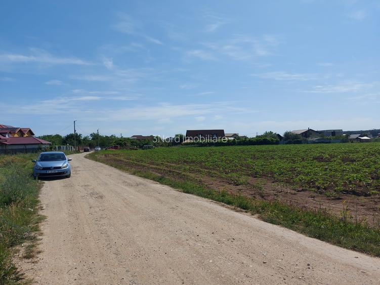 8.500 mp, cu deschidere la padure, dublă deschidere, Snagov –Ghermanesti - 5