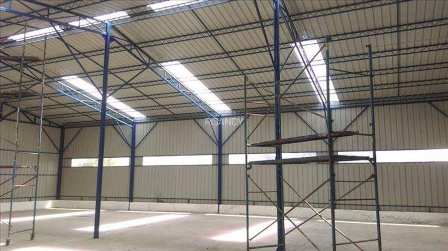 R O A N D Y - Hale de inchiriat - 4