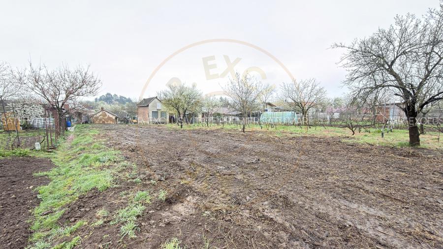 De vânzare 2 Case de vinificație cu Teren 4108 mp - Grădina Viilor - Carei - 19