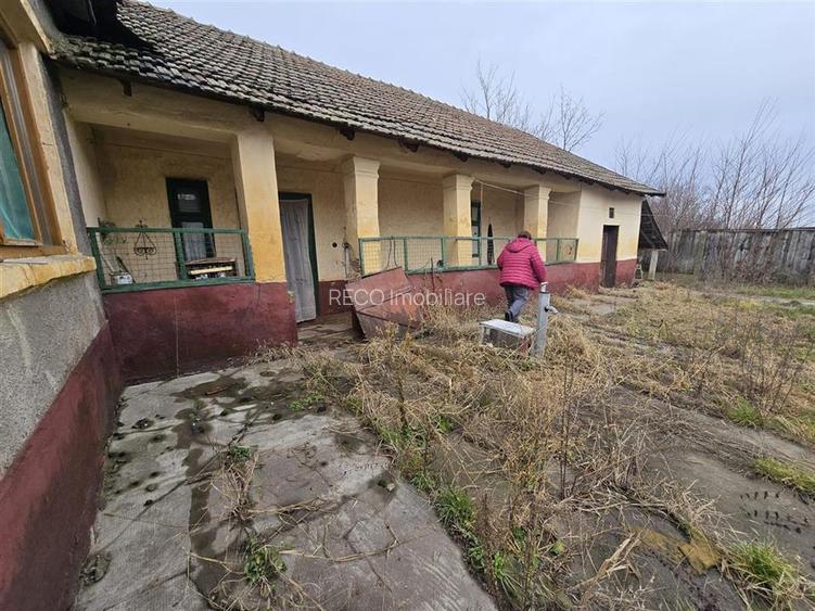 RECO Casa in Boiu - 8