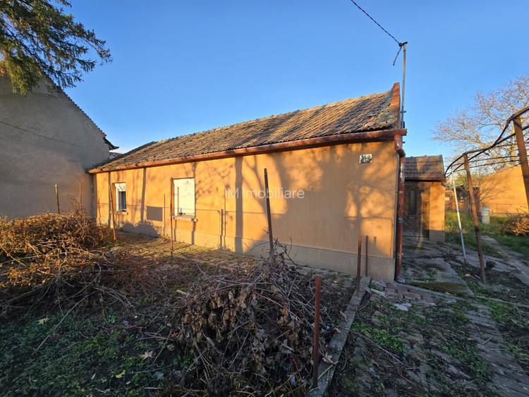 Fratelia- Casa si teren- 1438 mp - 3