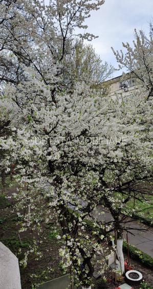 - ETAJ 1. Garsoniera Hipodrom-Pietatii. Comision ZERO! REPR. EXCLUSIVA - 9