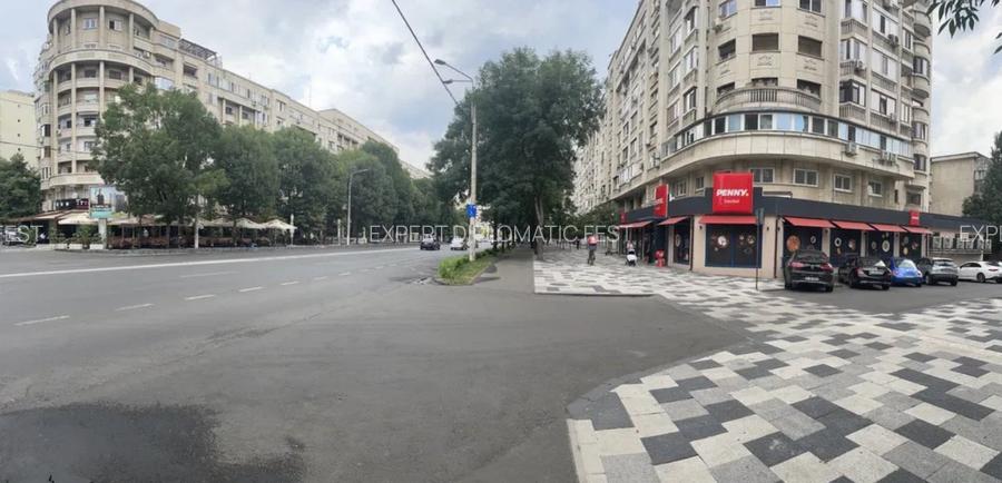 Decebal- Alba Iulia, 100 mp sau 230 mp - pret 3200 euro, inchiriere - 4