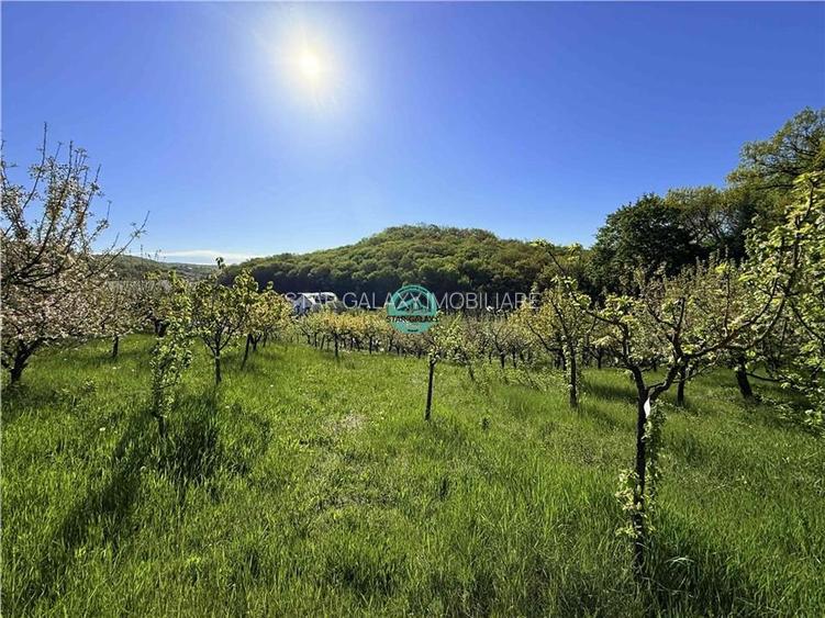 Vand teren intravilan, 2566 mp in Corunca situat intr-o zona linistita si intima - 10
